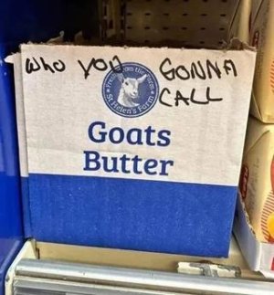 who ya gonna call.jpeg
