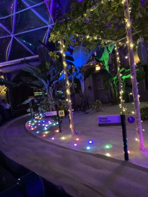 IMG_1999.jpeg