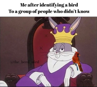 1759498735756.png