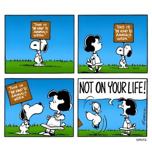 Be Kind to Animals Week.jpg