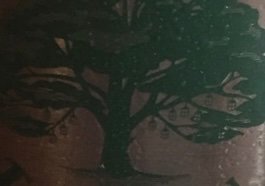 IMG_2792.jpeg