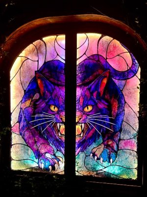 IMG_6400.jpeg