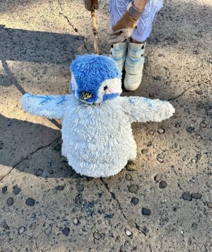 IMG_3589.jpeg