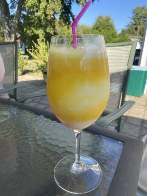 IMG_2523.jpeg