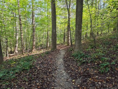 20251004_152409.jpg