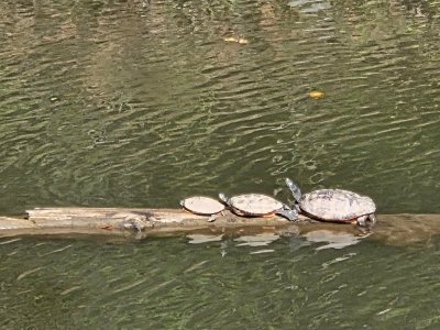 20251005_152358.jpg
