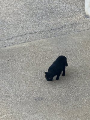 image8.jpeg