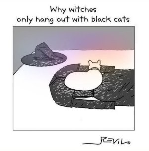 IMG_1734.jpeg