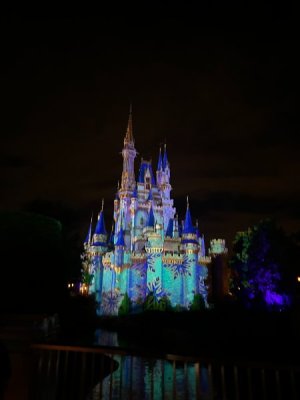 IMG_7216.JPEG