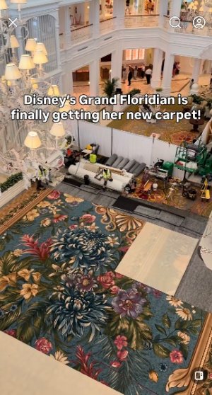 IMG_9287.jpeg