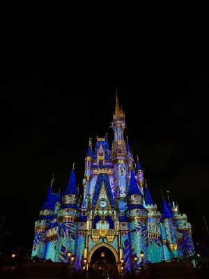 IMG_7281.JPEG