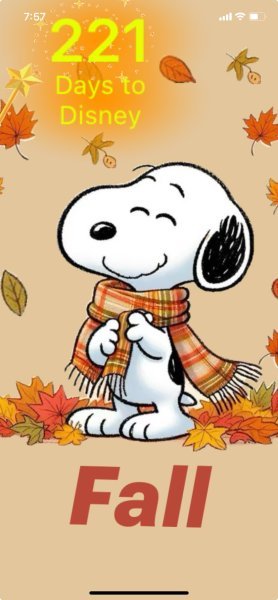 SNOOPY COOL FALL.jpeg