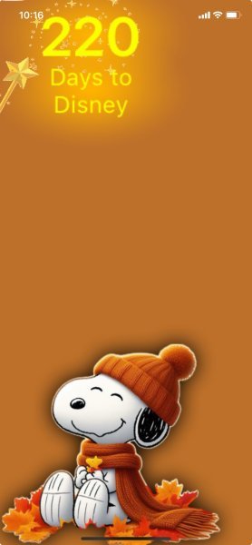 SW CHILLY FALL.jpeg