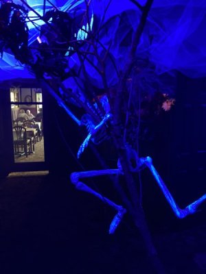 IMG_4845.jpeg