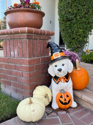 IMG_2159.jpeg