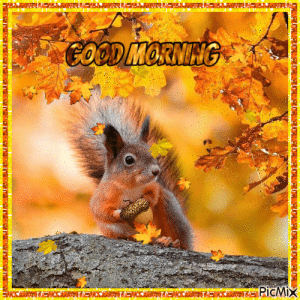 IMG_6719.gif
