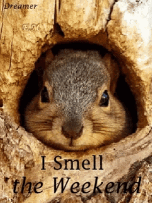 IMG_6720.gif