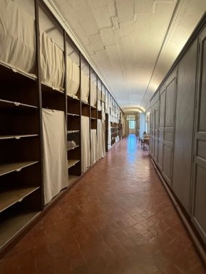 image5.jpeg