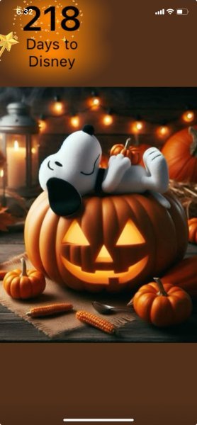 SNOOPY PUMPKINS.jpeg