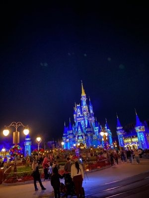 IMG_3140.jpeg