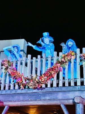 IMG_2025-10-11-094315.jpg