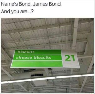 565149897_1384616553028010_1345841245485031162_n.jpg