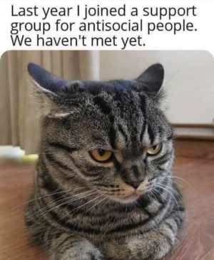 1760307712427.png
