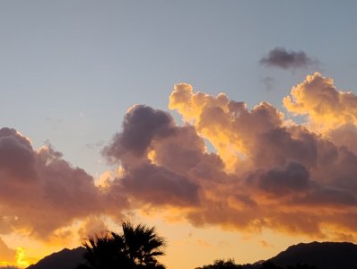 IMG_20251013_064700926.jpg