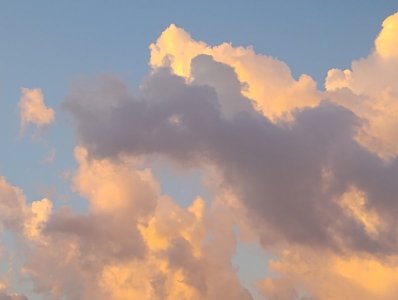 IMG_20251013_064707213.jpg