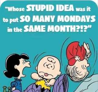 Stupid Idea behind so many Mondays.jpg