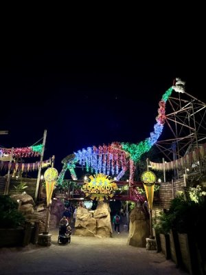 IMG_6535.jpeg