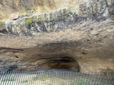 image10.jpeg