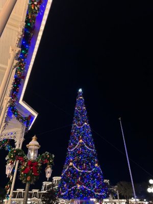 IMG_7313.JPEG IMG_7313.JPEG