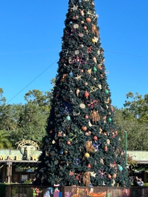 IMG_7325.JPEG