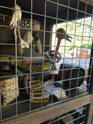 IMG_7328.JPEG