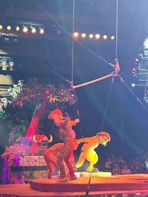 IMG_7344.JPEG