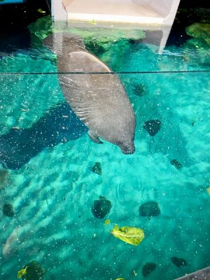 IMG_0202.jpeg