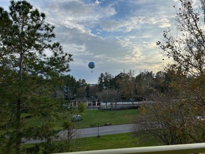 IMG_5917.jpeg