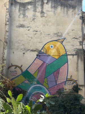 image5.jpeg