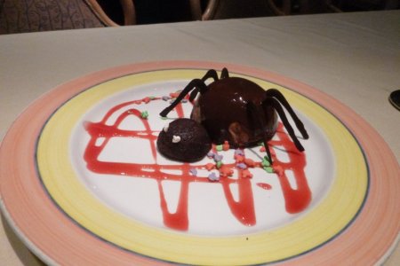 spider cake wonder 2015 2042 P1080311 1500.jpg
