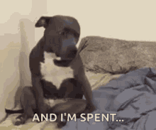 IMG_4786.gif