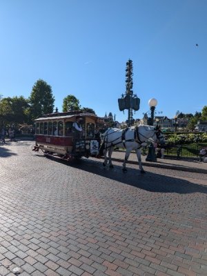 PXL_20250824_073707801.jpg