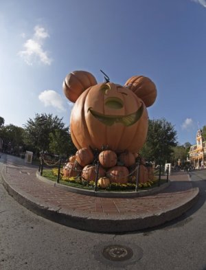 621ffe45-9535-4b3c-9dd0-4c5c605eca21.jpg
