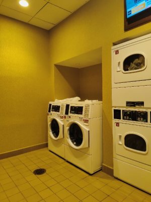 IMG20230414090340.jpg