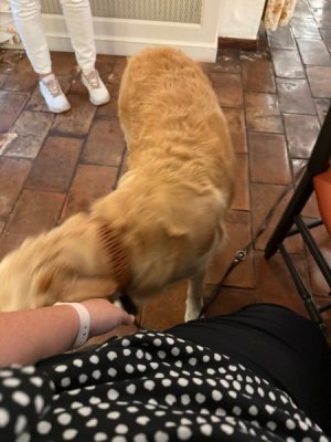 image9.jpeg