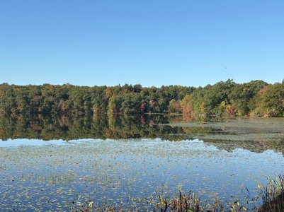Lake OCt 25.jpg