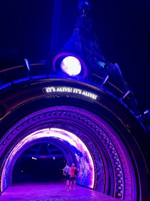 IMG_5439.jpeg