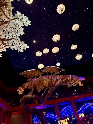 IMG_5408.jpeg