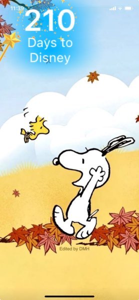SW FALL FROLIC.jpeg