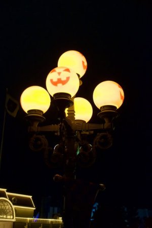 DSC_0028.jpeg
